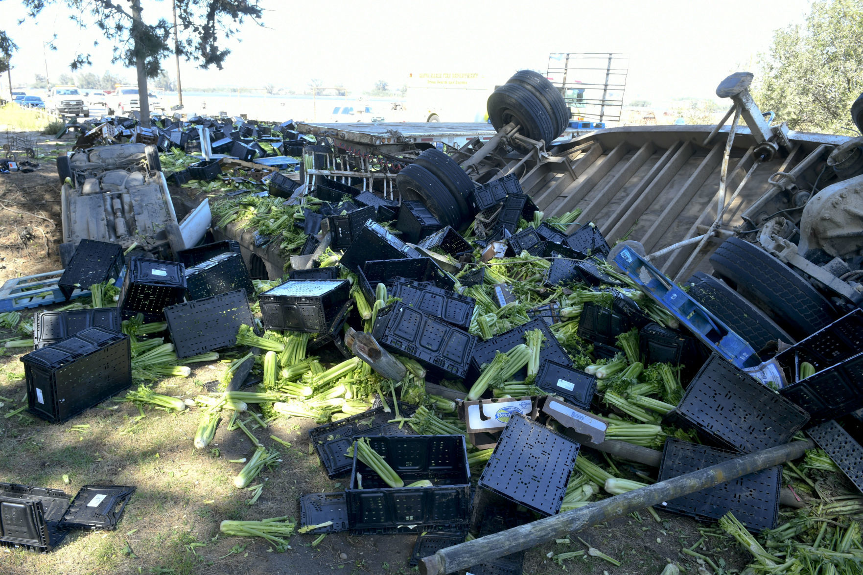 100419 Fatal crash 06.jpg